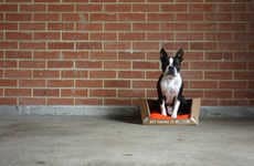 Recyclable Flat-Pack Dog Beds