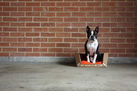 Recyclable Flat-Pack Dog Beds