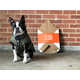 Recyclable Flat-Pack Dog Beds Image 3