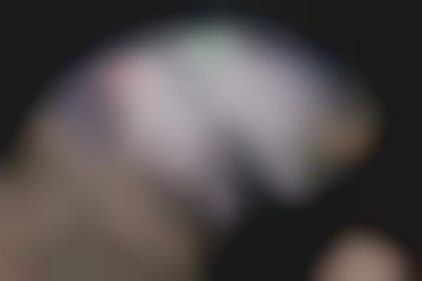 shoes that come out in september 2019