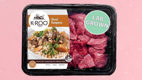 12 Lab-Grown Meat Innovations