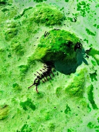 Villainous Bath Bombs Image 2