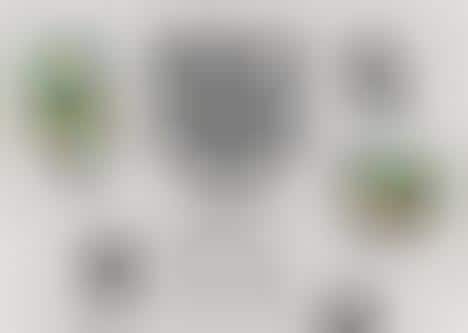 Farm-to-Table Cannabis Cafes