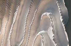 Couture-Inspried Concrete Friezes