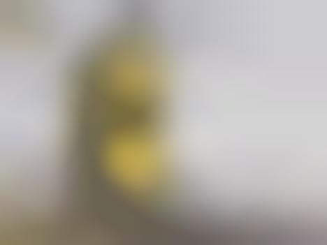 Space Telescope Projects