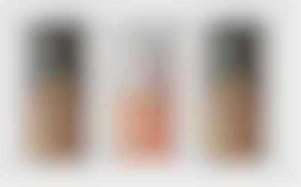 Specialty Craft Kombucha Flavors
