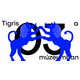 Tiger-Inspired Design Identities Image 1