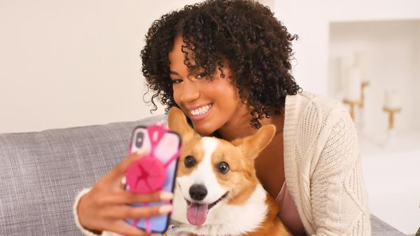 Top 35 Pets Trends in September