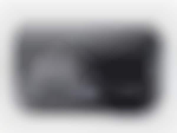 Voice Assistant Dash Cams