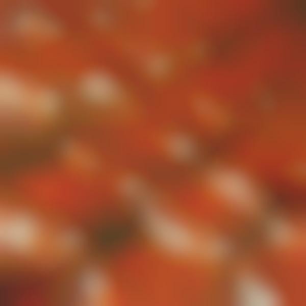 Hot Sauce Tailgating Giveaways