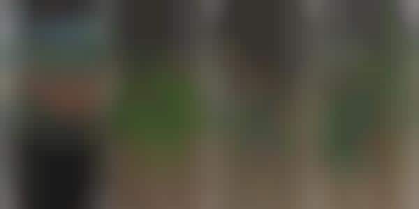 Immersive Amazon Rainforest Apps