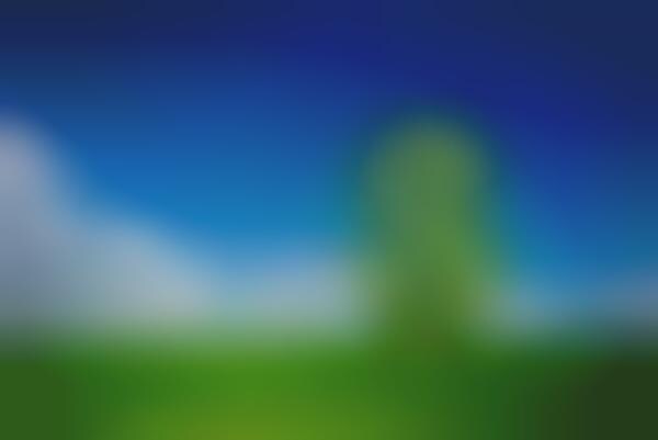 Vegan Cryptocurrency Platforms