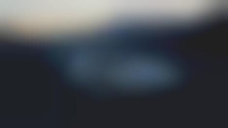 Multi-National EV Reveals