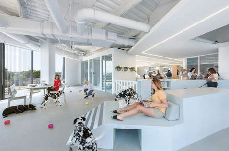 Contemporary Pet-Friendly Office Spaces