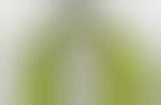 Non-Toxic Mint-Infused Shampoos