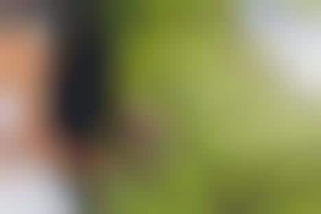 Integrated Wedding Collaboration Platforms