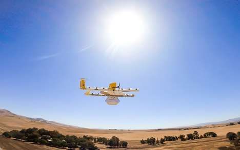 Drone Delivery Pilot Programs