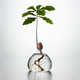 Sculptural Tree-Growing Vases Image 1