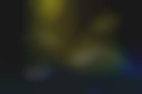 converse jack purcell multiwool rh