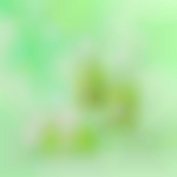 revolution cbd serum