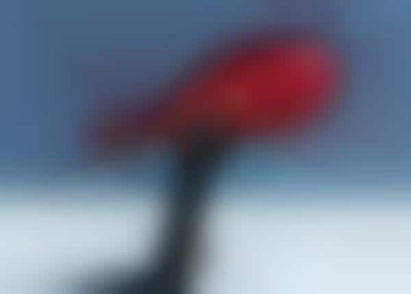 Quick-Release Bicycle Seats