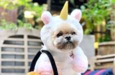 Adorable Dog Costumes
