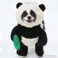Adorable Dog Costumes Image 3
