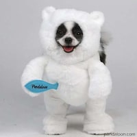 Adorable Dog Costumes Image 5