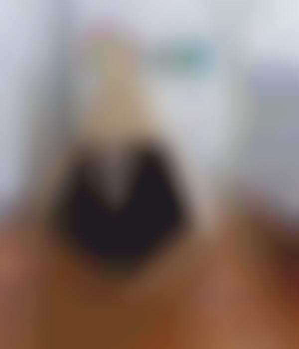 Eco-Friendly Cardboard Cat Houses