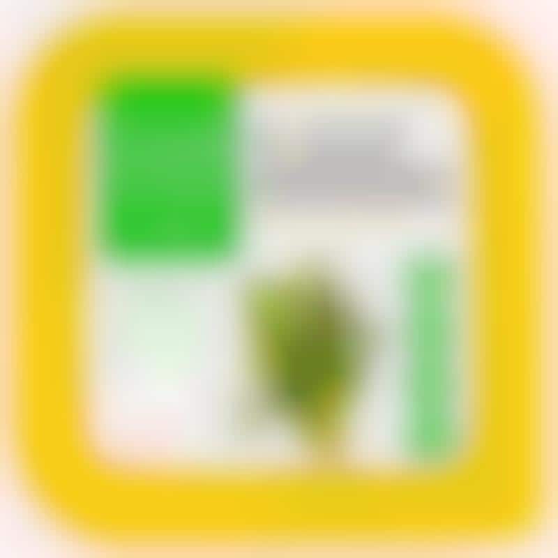 15 Vegan Cheese Alternatives