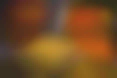 Festive Candy Corn Popcorns