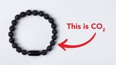 Carbon-Negative Bracelets Article Thubnail