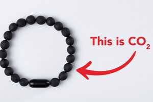 Carbon-Negative Bracelets Article Thubnail