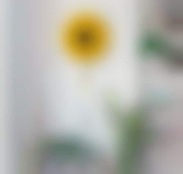 Slim Wall-Mounted Air Purifiers