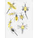 DIY Insect Stamp Kits Image 3