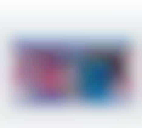 DIY Plush Animal Kits