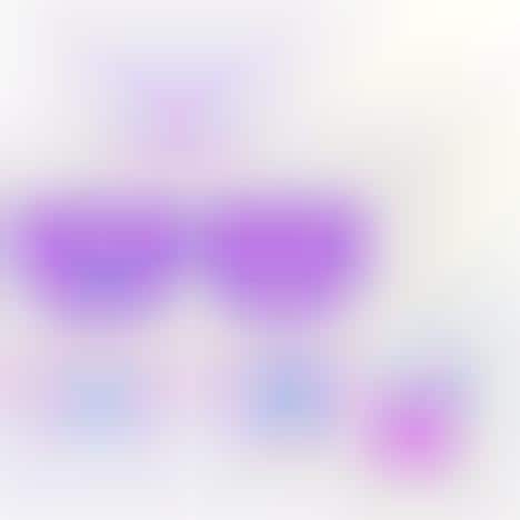 Food-Themed DIY Purse Kits