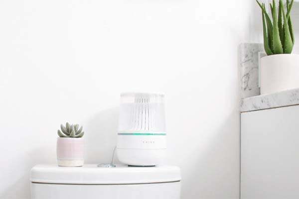 Self-Cleaning Toilet Sanitizers