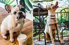 Seasonal Pet-Friendly Lattes