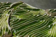 Detoxifying Algae-Infused Tiles