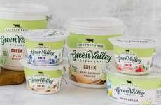 Probiotic Lactose-Free Yogurts