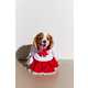 Cheerleader Dog Halloween Costumes Image 1