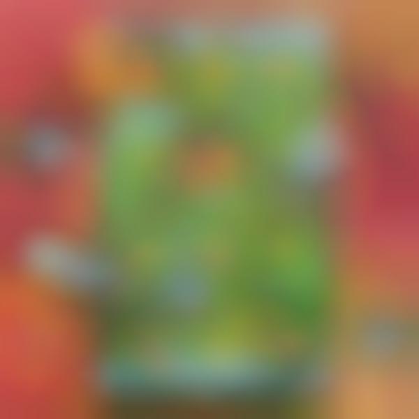 Curry-Filled Advent Calendars