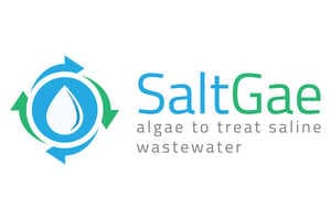 Saline Water Treatment Projects Article Thubnail