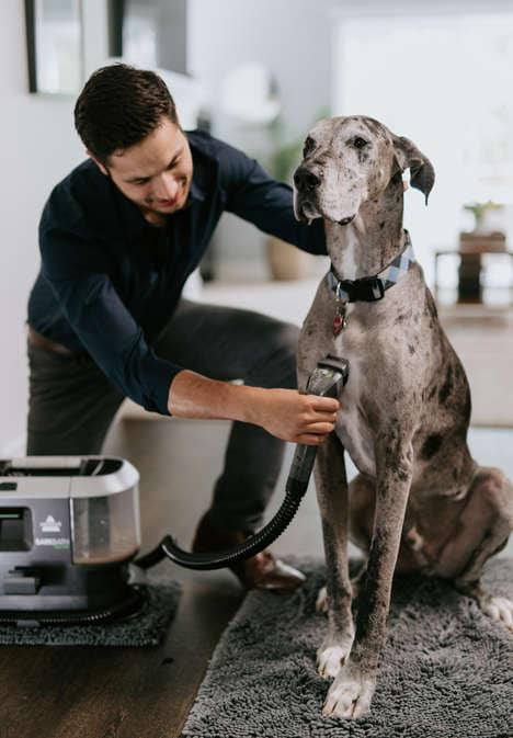 All-in-One Dog Grooming Systems