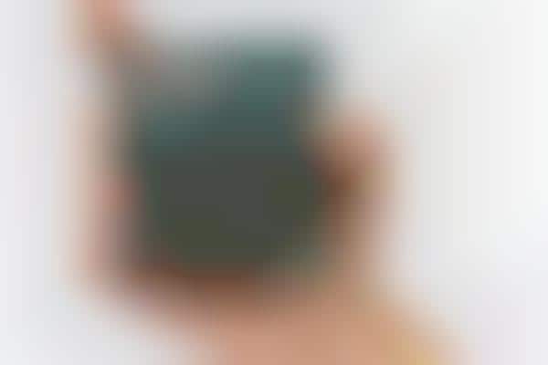 CBD Discovery Kits