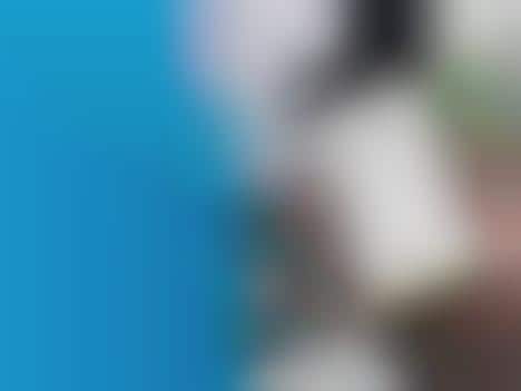 Summarized News Email Services