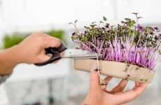 DIY Microgreens Kits