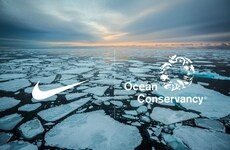 Eco-Friendly Shipping Agreements