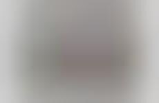 Functional Plant-Powered Water Beverages